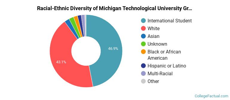 Racial-Ethnic Diversity of Michigan Technological University Graduate Students