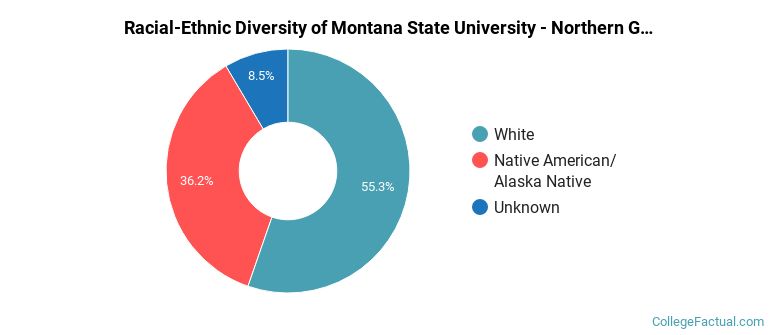 Racial-Ethnic Diversity of Montana State University - Northern Graduate Students