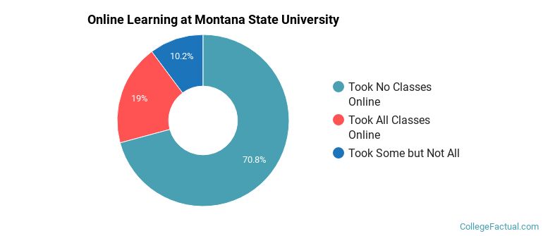 Online Learning at Montana State University