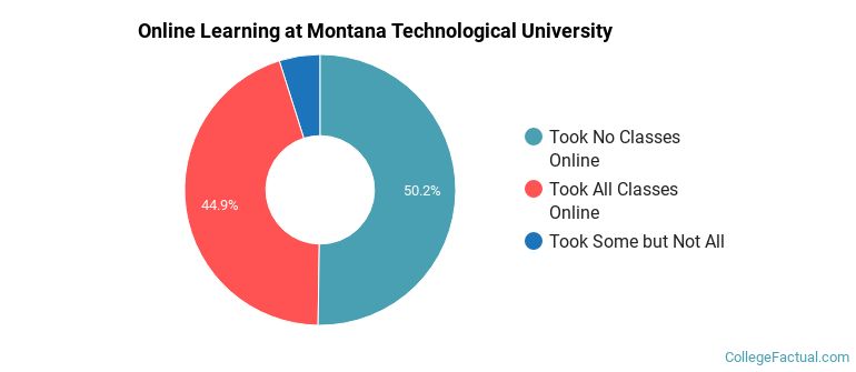 Online Learning at Montana Technological University