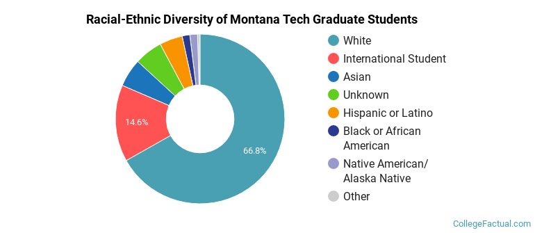 Racial-Ethnic Diversity of Montana Tech Graduate Students