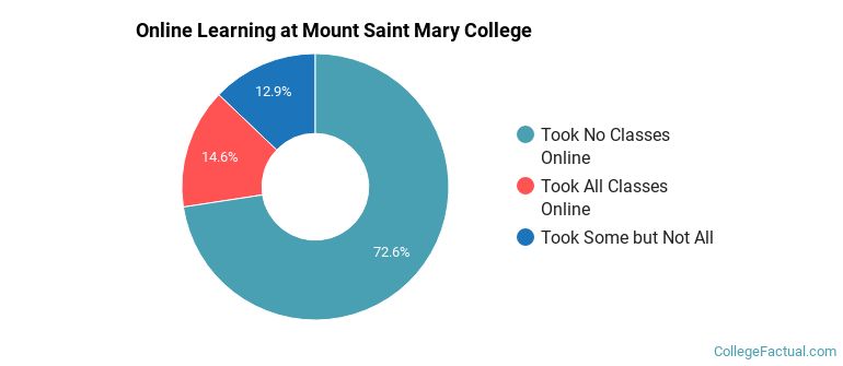 Online Learning at Mount Saint Mary College