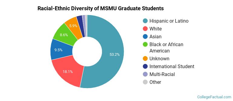 Racial-Ethnic Diversity of MSMU Graduate Students
