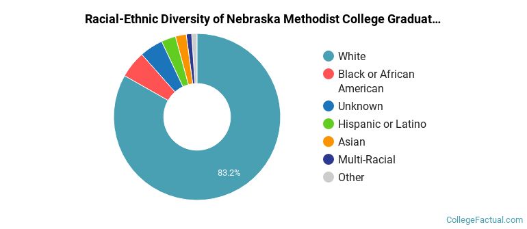 Racial-Ethnic Diversity of Nebraska Methodist College Graduate Students