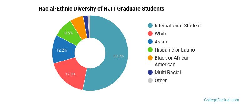 Racial-Ethnic Diversity of NJIT Graduate Students