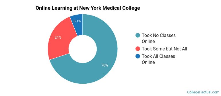 Online Learning at New York Medical College