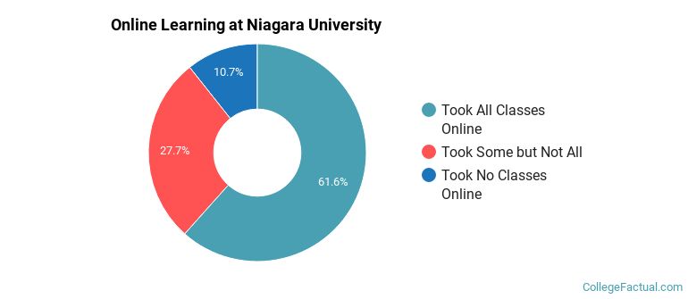 Online Learning at Niagara University
