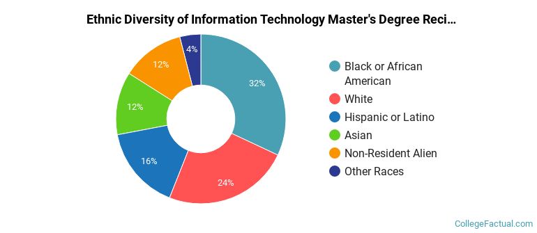 Ethnic diversity of Information Technology majors at Nova Southeastern University