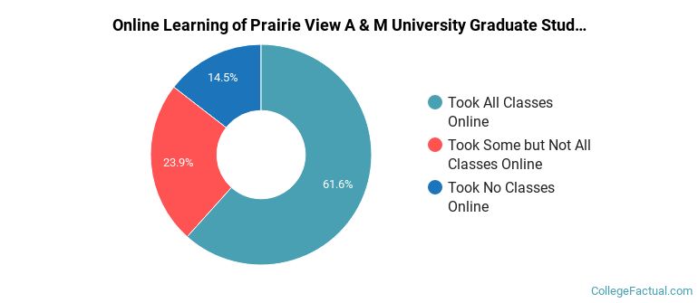 Online Learning at Prairie View A &amp; M University