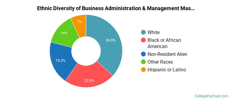 Ethnic diversity of Business Administration & Management majors at Salem University