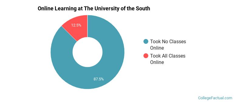 Online Learning at The University of the South