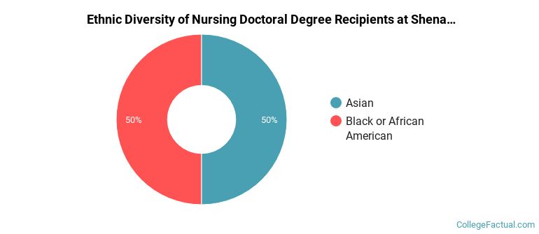 Ethnic diversity of Nursing majors at Shenandoah University