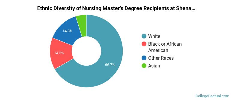 Ethnic diversity of Nursing majors at Shenandoah University