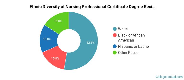 Ethnic diversity of Nursing majors at Shenandoah University