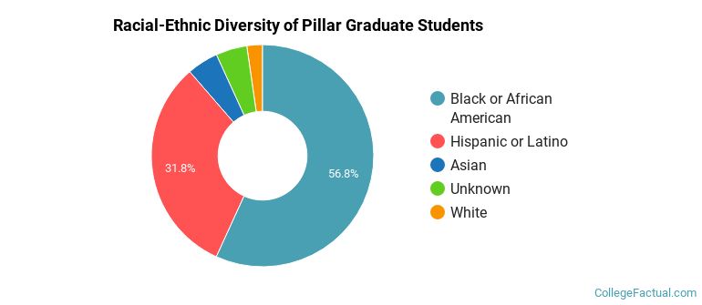 Racial-Ethnic Diversity of Pillar Graduate Students