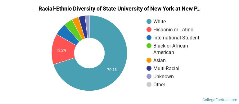 Racial-Ethnic Diversity of State University of New York at New Paltz Graduate Students