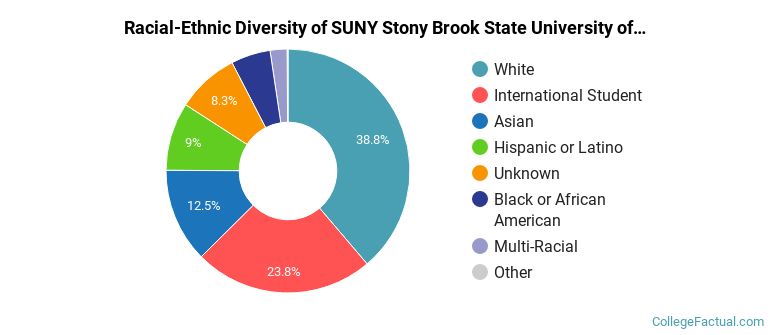 Racial-Ethnic Diversity of SUNY Stony Brook State University of New York at Stony Brook Graduate Students