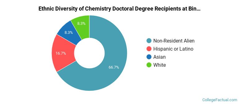 Ethnic diversity of Chemistry majors at Binghamton University