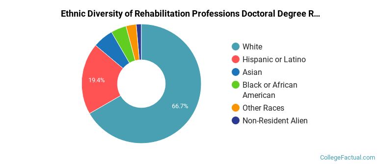 Ethnic diversity of Rehabilitation Professions majors at Texas Tech University Health Sciences Center