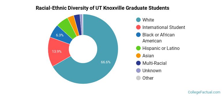 Racial-Ethnic Diversity of UT Knoxville Graduate Students