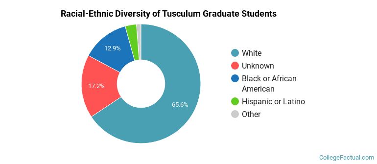Racial-Ethnic Diversity of Tusculum Graduate Students