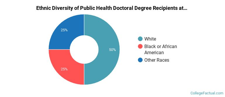 Ethnic diversity of Public Health majors at University at Buffalo