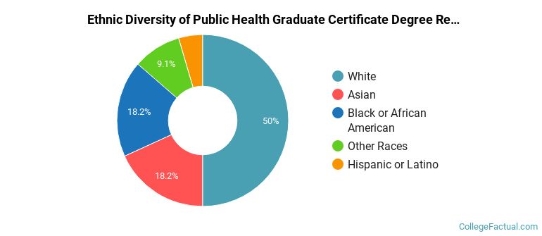 Ethnic diversity of Public Health majors at University at Buffalo