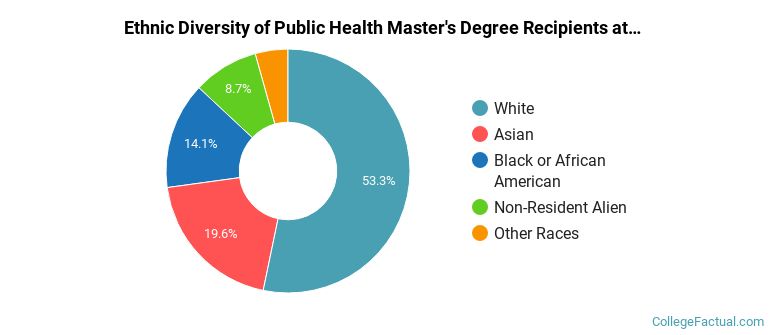 Ethnic diversity of Public Health majors at University at Buffalo