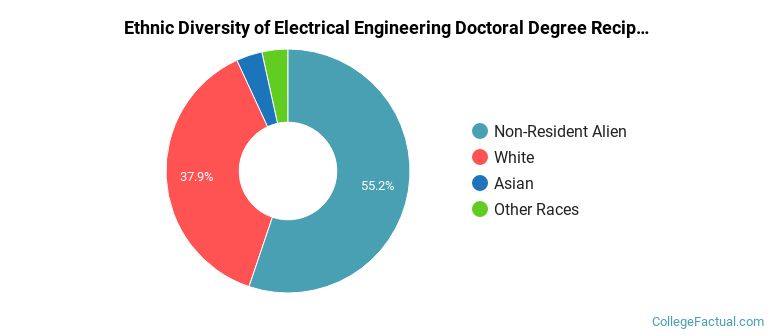 Ethnic diversity of Electrical Engineering majors at University of Central Florida