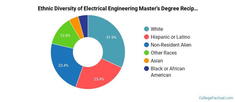 Ethnic diversity of Electrical Engineering majors at University of Central Florida