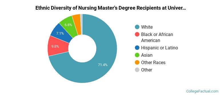 Ethnic diversity of Nursing majors at University of Cincinnati-Main Campus