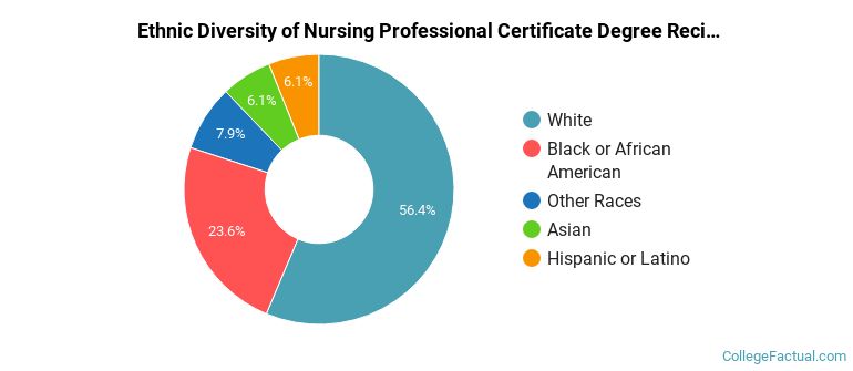Ethnic diversity of Nursing majors at University of Cincinnati-Main Campus