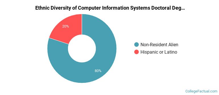 Ethnic diversity of Computer Information Systems majors at University of Colorado Denver/Anschutz Medical Campus