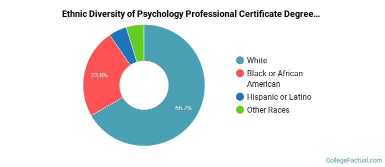 Ethnic diversity of Psychology majors at University of Detroit Mercy