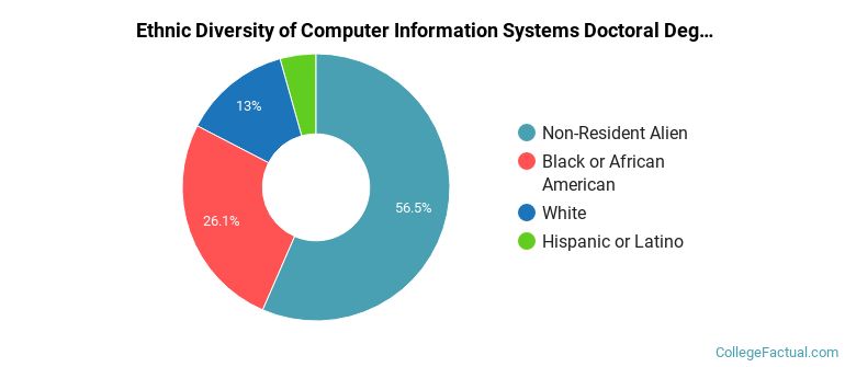 Ethnic diversity of Computer Information Systems majors at University of Florida