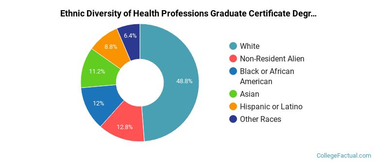 Ethnic diversity of Health Professions majors at University of Florida