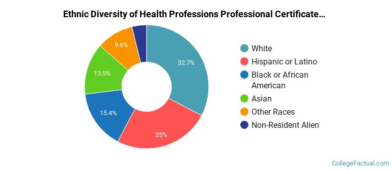 Ethnic diversity of Health Professions majors at University of Florida