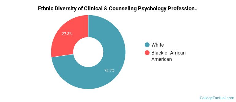Ethnic diversity of Clinical & Counseling Psychology majors at University of Georgia