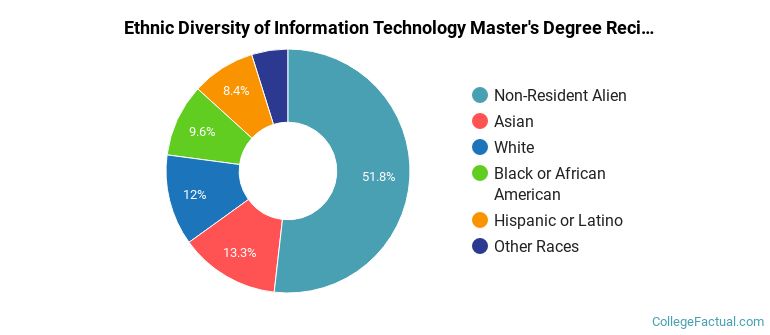 Ethnic diversity of Information Technology majors at University of Houston