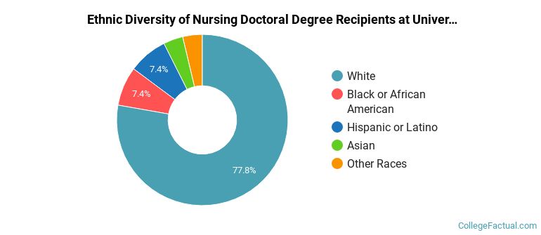 Ethnic diversity of Nursing majors at University of South Carolina-Columbia