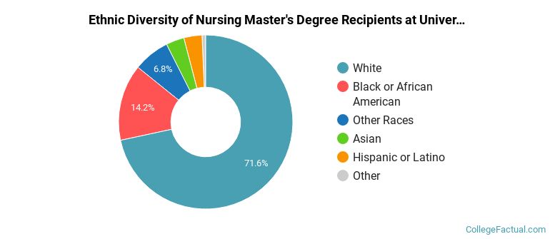 Ethnic diversity of Nursing majors at University of South Carolina-Columbia