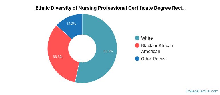 Ethnic diversity of Nursing majors at University of South Carolina-Columbia