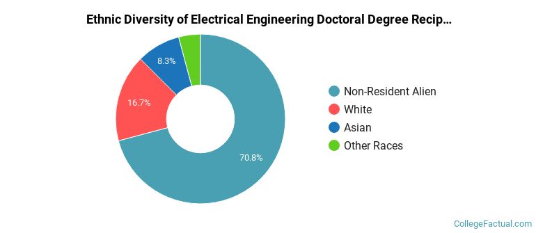 Ethnic diversity of Electrical Engineering majors at University of Virginia-Main Campus