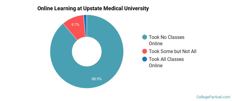 Online Learning at Upstate Medical University