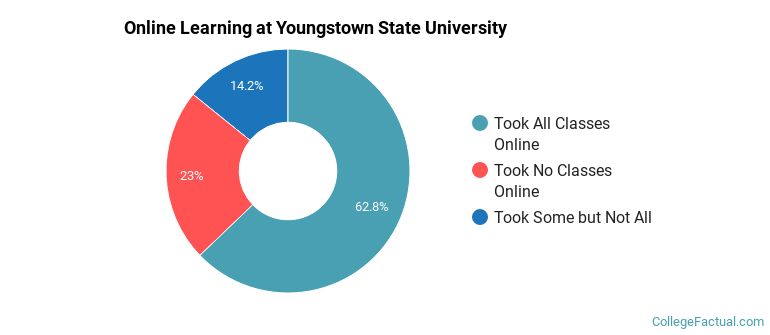 Online Learning at Youngstown State University